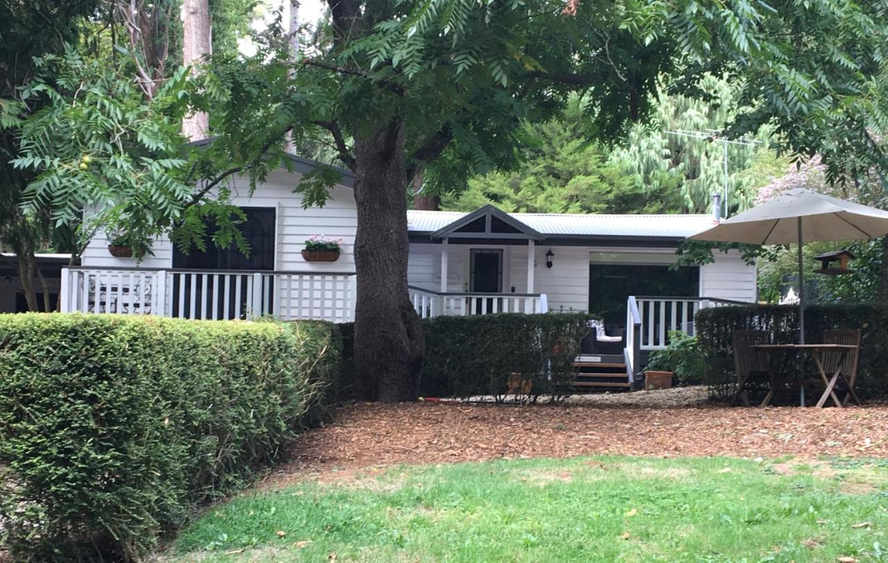 סאסאפראס גולי Clarendon Cottages מראה חיצוני תמונה